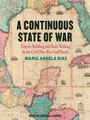 cover image of A Continuous State of War